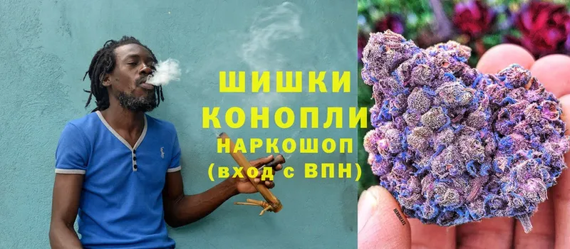 Марихуана THC 21%  Новошахтинск 